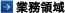 業務領域